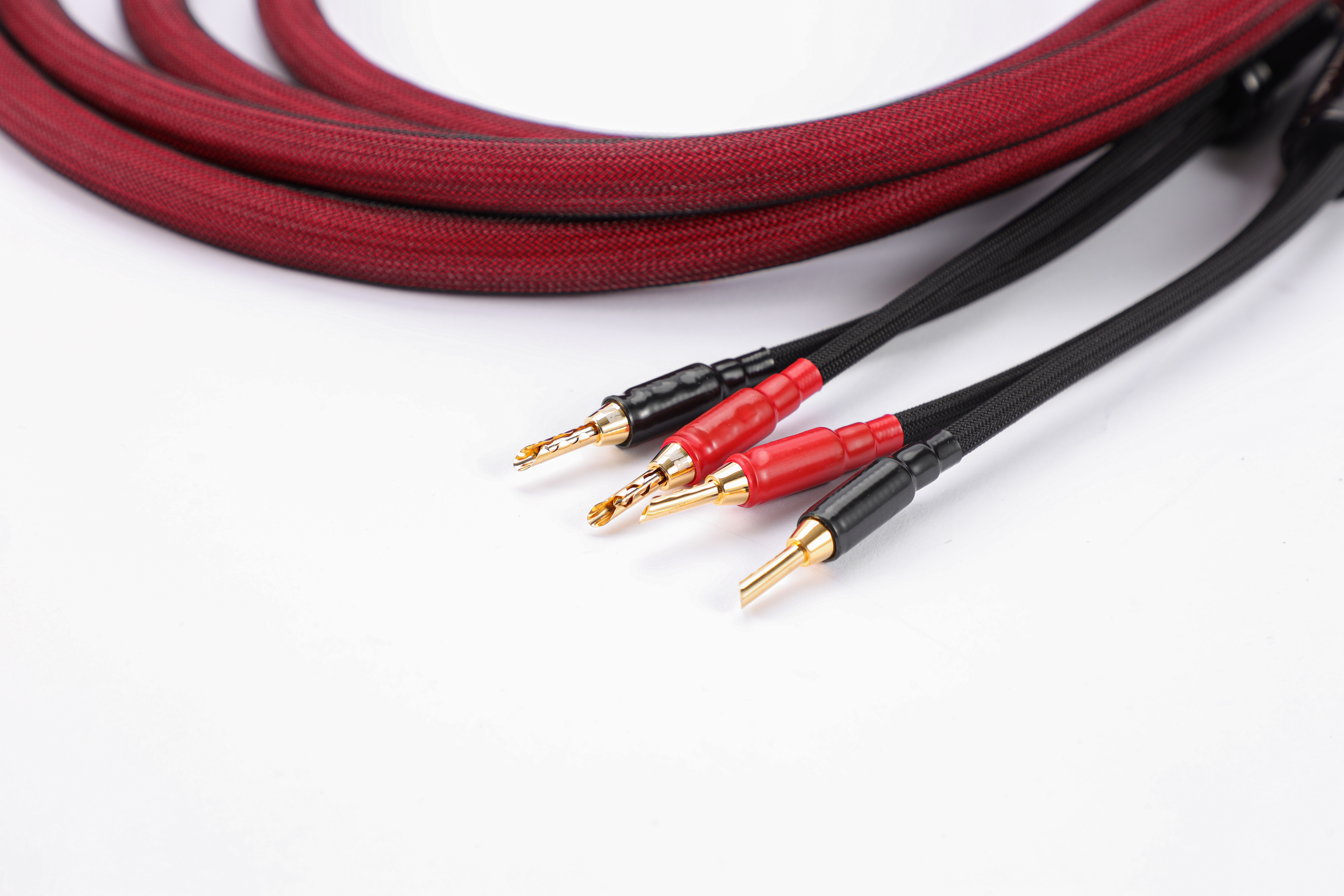 Lu Kang Audio (アクセサリー)